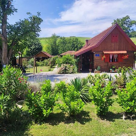 Pod Orehom Drvena Kuca I Sauna Hotel Krapina Bagian luar foto