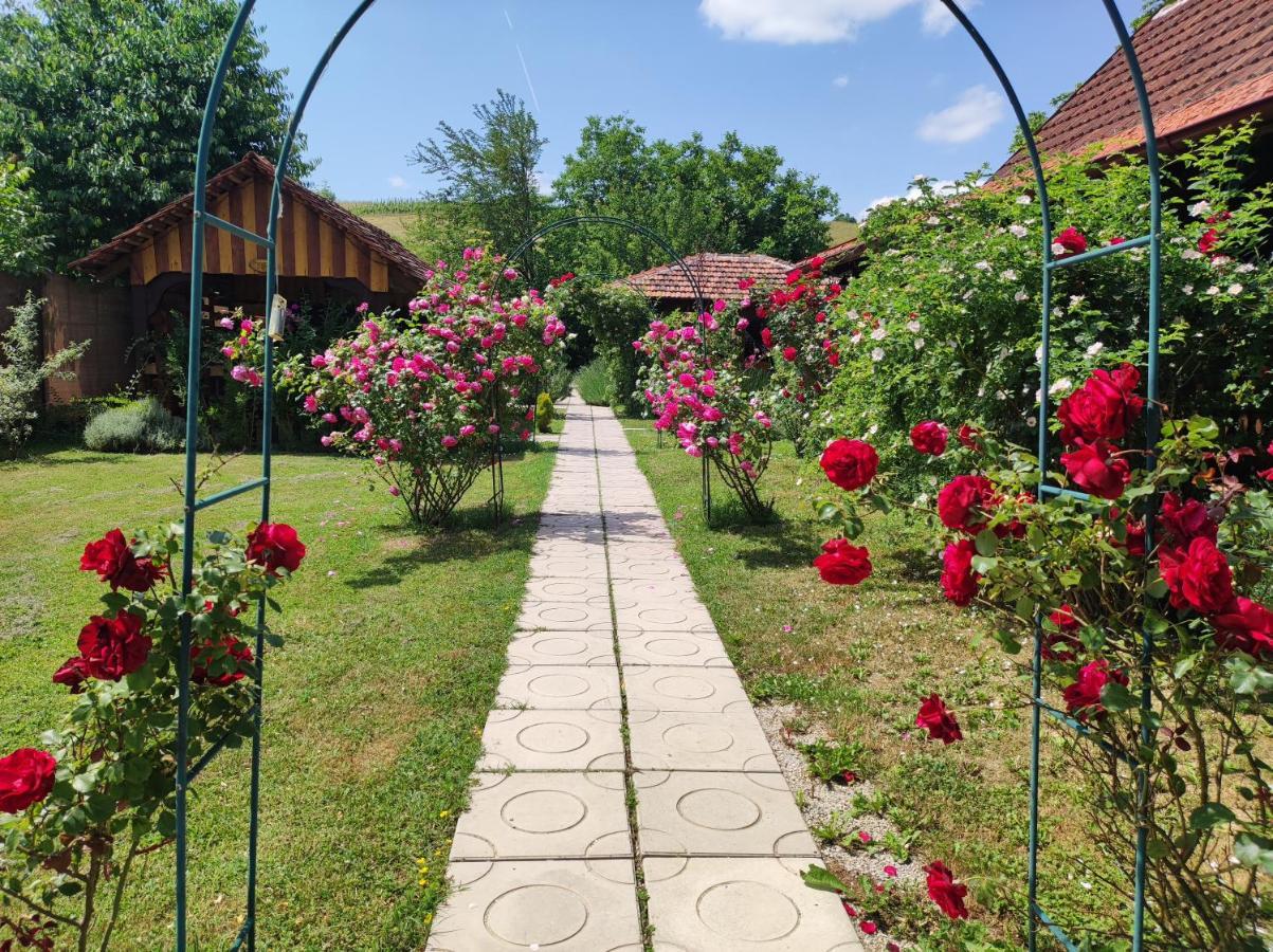 Pod Orehom Drvena Kuca I Sauna Hotel Krapina Bagian luar foto