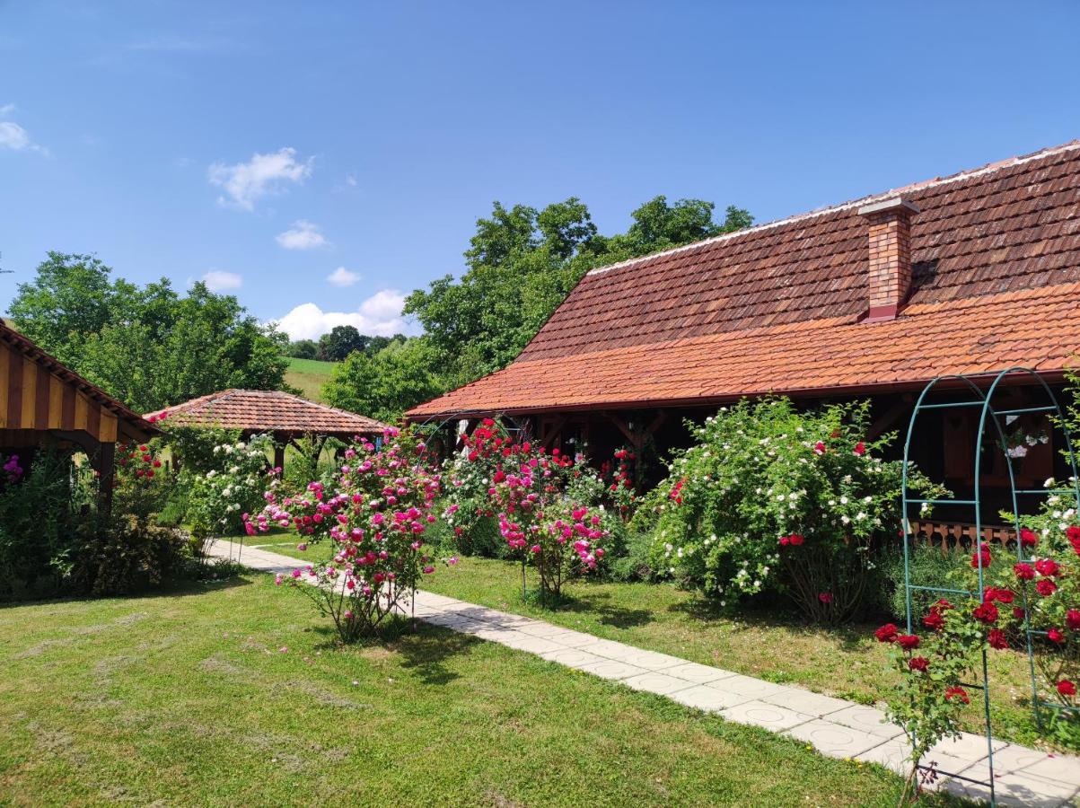 Pod Orehom Drvena Kuca I Sauna Hotel Krapina Bagian luar foto