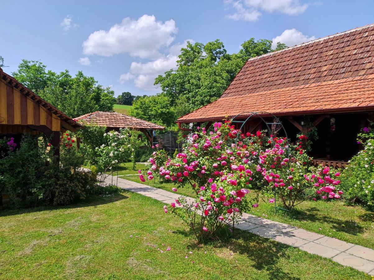 Pod Orehom Drvena Kuca I Sauna Hotel Krapina Bagian luar foto