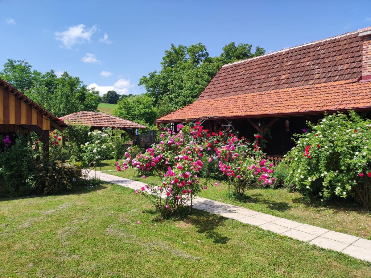 Pod Orehom Drvena Kuca I Sauna Hotel Krapina Bagian luar foto