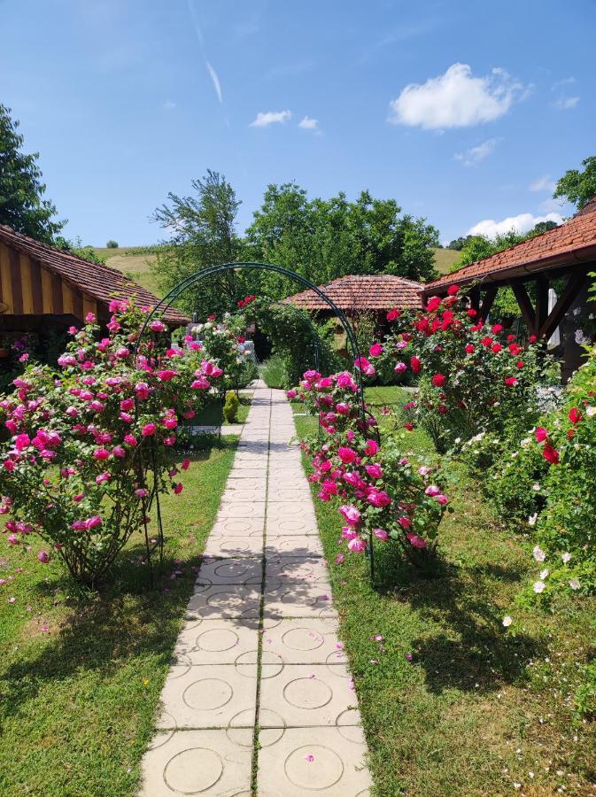 Pod Orehom Drvena Kuca I Sauna Hotel Krapina Bagian luar foto